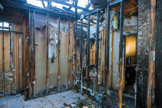 Professional Fire Damage Removal technician working in Lewisville, TX